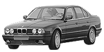 BMW E34 P1015 Fault Code